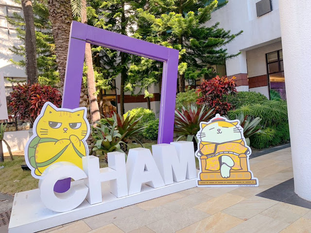 最強毛孩巨星黃阿瑪駕到‼️快跟著阿瑪一起「趣淘趣淘」一下‼️ 26 最強毛孩巨星黃阿瑪駕到‼️快跟著阿瑪一起「趣淘趣淘」一下‼️