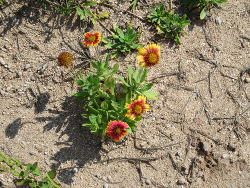 漫遊吉貝 3 漫遊吉貝