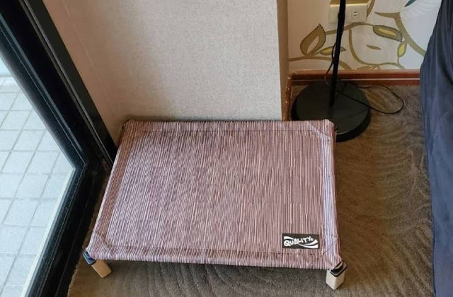 【寵物住宿】寵物友善飯店,毛小孩也要爽爽住 13 【寵物住宿】寵物友善飯店,毛小孩也要爽爽住