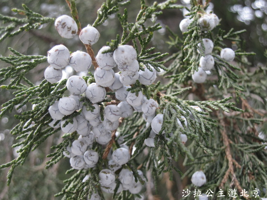 IMG_8024.JPG IMG_8024.JPG