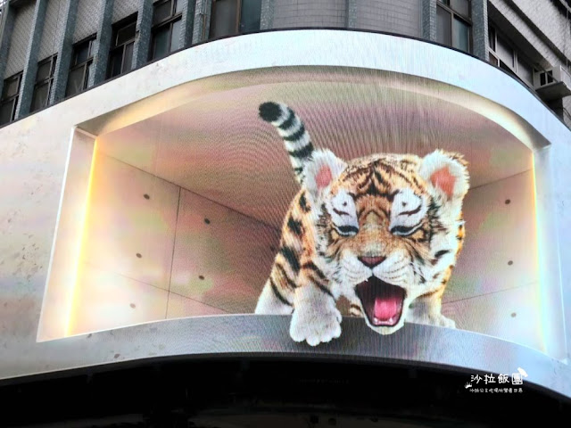 3D萌虎出閘,國慶日當晚台北8個據點,北、中、南通通可以看到 5 3D萌虎出閘,國慶日當晚台北8個據點,北、中、南通通可以看到