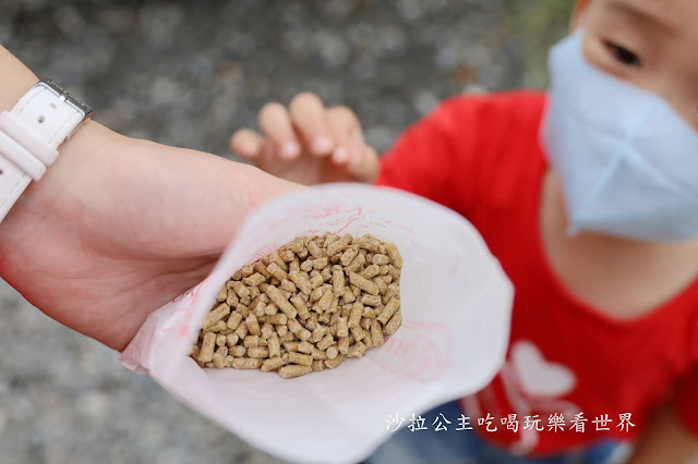 宜蘭員山景點『可達羊場』免門票.百元就可以餵羊.兔子.鴨子.親子景點 29 宜蘭員山景點『可達羊場』免門票.百元就可以餵羊.兔子.鴨子.親子景點