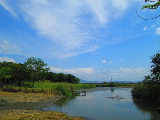 IMG_2655.jpg IMG_2655.jpg