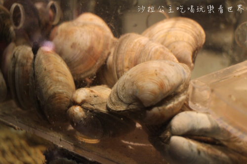 IMG_1801.JPG IMG_1801.JPG