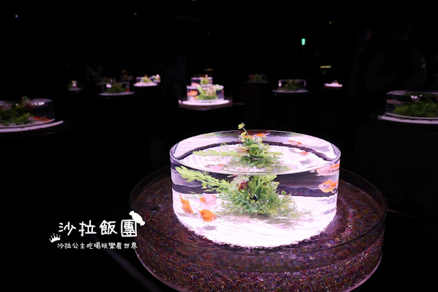 日本東京人氣展覽『金魚藝術展』璀璨登台 6 日本東京人氣展覽『金魚藝術展』璀璨登台