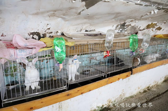 宜蘭員山景點『可達羊場』免門票.百元就可以餵羊.兔子.鴨子.親子景點 25 宜蘭員山景點『可達羊場』免門票.百元就可以餵羊.兔子.鴨子.親子景點