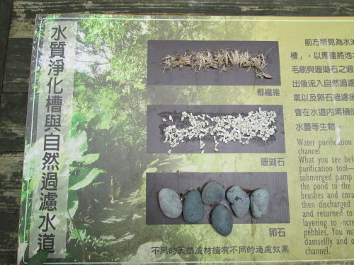 芝山文化生態綠園【士林】 24 芝山文化生態綠園【士林】