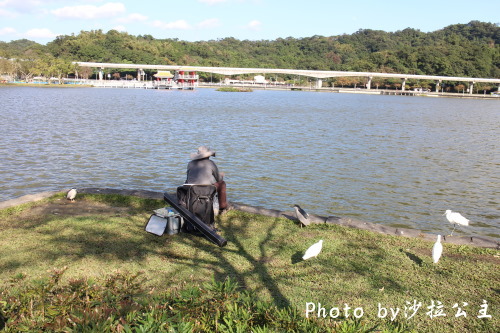 IMG_4553.jpg IMG_4553.jpg