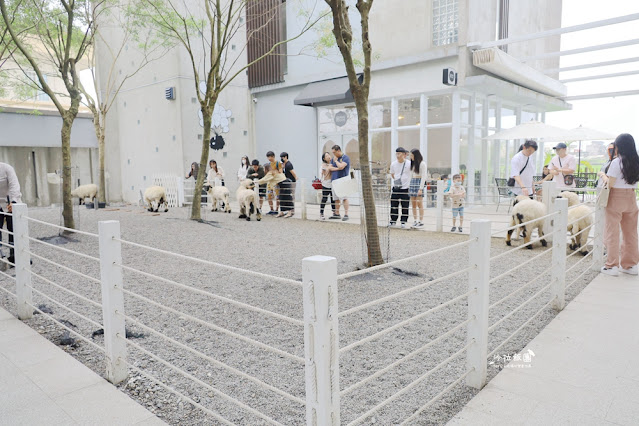 宜蘭景點黑RURU CAFE，來用餐還可以順便餵羊不用再找景點