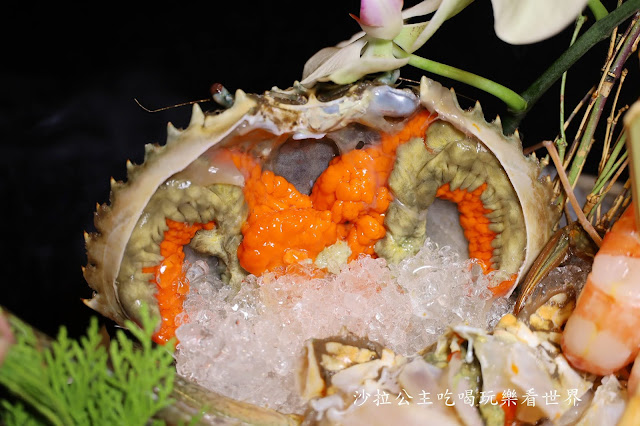 台北海鮮火鍋推薦『竹苑shabu』吃火鍋有生魚片.鰻魚飯.金條和牛握壽司.開胃菜無限供應捷運忠孝復興站 26 台北海鮮火鍋推薦『竹苑shabu』吃火鍋有生魚片.鰻魚飯.金條和牛握壽司.開胃菜無限供應捷運忠孝復興站