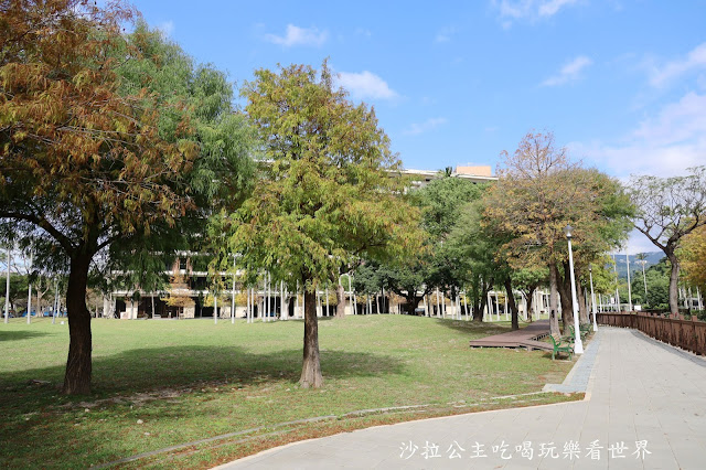 士林景點/台北人不用跑遠『士林官邸落羽松』.梅花.落羽松一起看