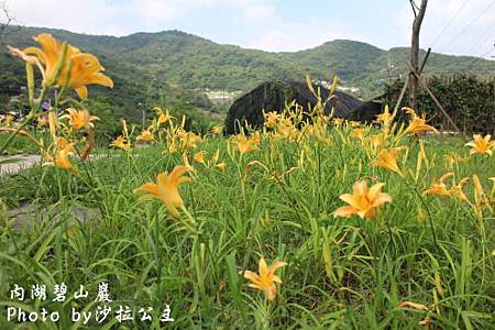 IMG_9537.jpg IMG_9537.jpg