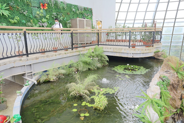 嘉義親子景點『新嘉大昆蟲館』全球唯一旋轉彩蝶柱、蝴蝶溫室花園 45 嘉義親子景點『新嘉大昆蟲館』全球唯一旋轉彩蝶柱、蝴蝶溫室花園
