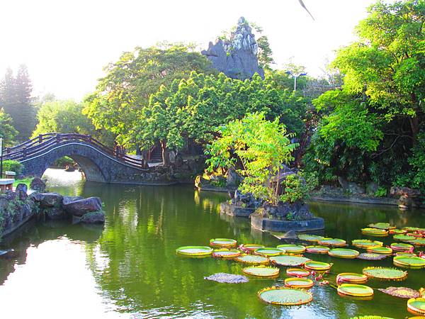 IMG_2736.jpg IMG_2736.jpg