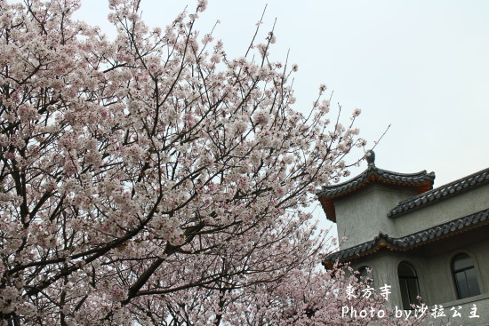 IMG_7032.jpg IMG_7032.jpg