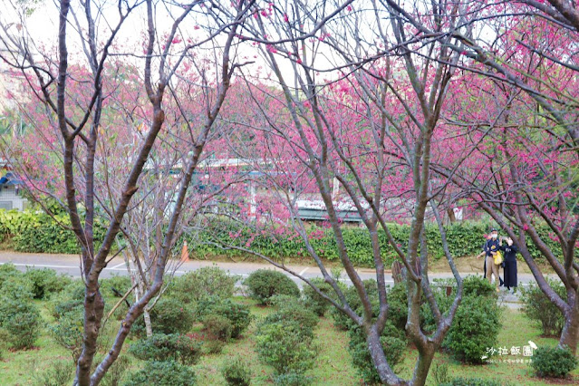 台北景點鬱金香花展『花卉試驗中心』台北人的小秘境 20 台北景點鬱金香花展『花卉試驗中心』台北人的小秘境