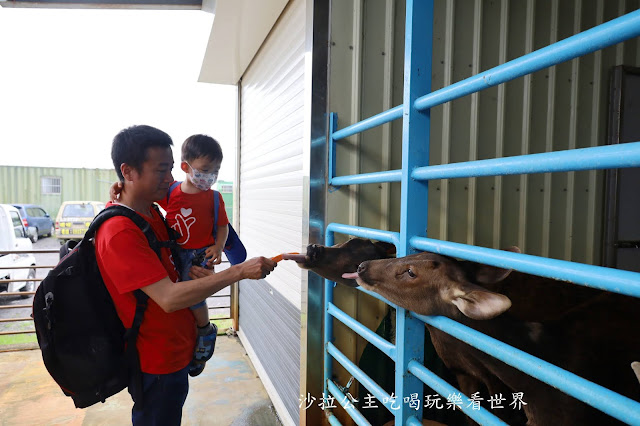 宜蘭礁溪景點『水鹿咖啡親子餐廳』迷你馬.水鹿.沙坑.小火車.賽車場.菜單 48 宜蘭礁溪景點『水鹿咖啡親子餐廳』迷你馬.水鹿.沙坑.小火車.賽車場.菜單