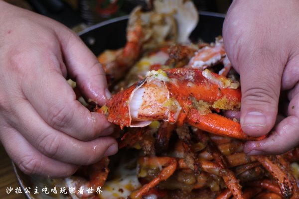 IMG_4205.JPG IMG_4205.JPG