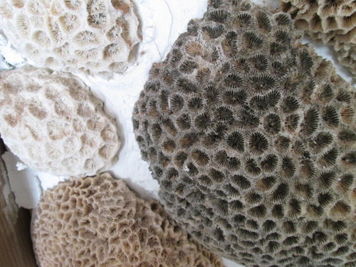 海悅大飯店【澎湖】 13 海悅大飯店【澎湖】