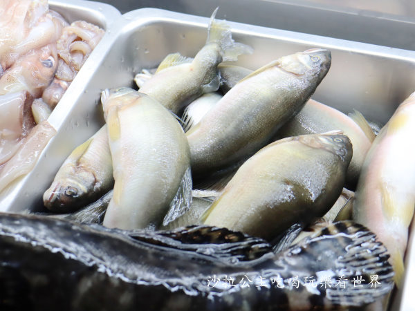 IMG_7234.JPG IMG_7234.JPG