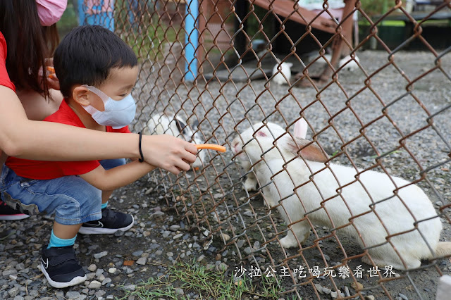 宜蘭員山景點『可達羊場』免門票.百元就可以餵羊.兔子.鴨子.親子景點 23 宜蘭員山景點『可達羊場』免門票.百元就可以餵羊.兔子.鴨子.親子景點