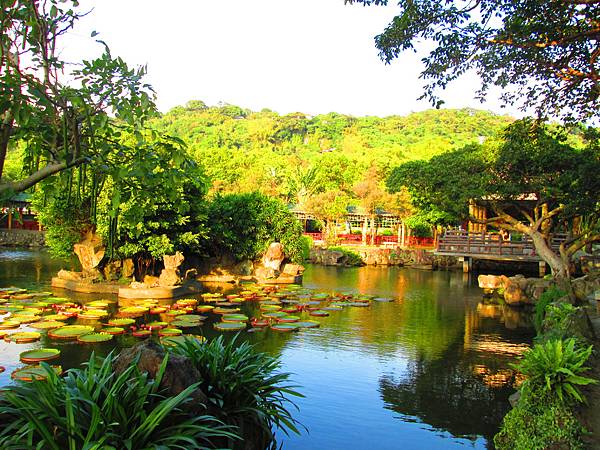 IMG_2739.jpg IMG_2739.jpg