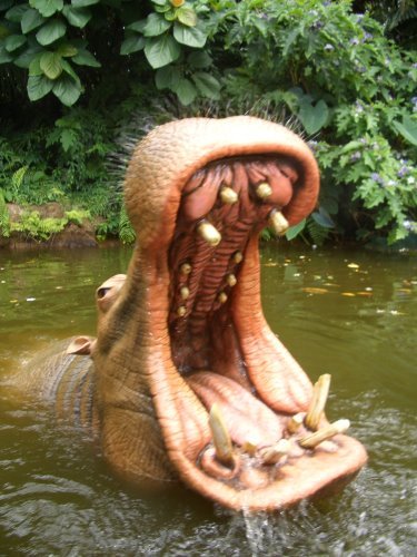 香港遊迪士尼樂園(日) 14 香港遊迪士尼樂園(日)