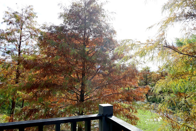 北投奇岩一號公園、落羽松、共融式兒童遊樂場、生態池 17 北投奇岩一號公園、落羽松、共融式兒童遊樂場、生態池