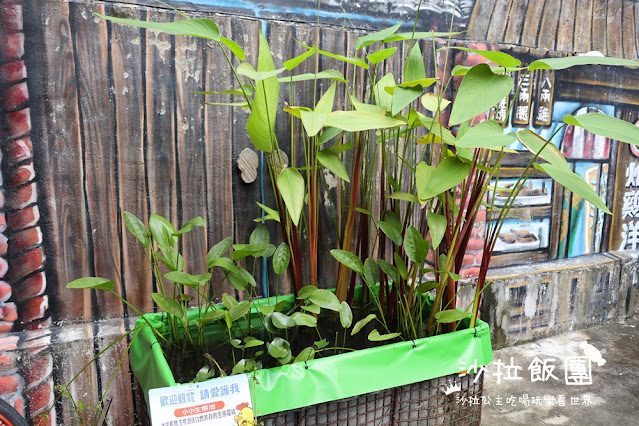 台南東區美食『炸雞洋行榮譽店』隱藏在老宅中的美味炸雞 10 台南東區美食『炸雞洋行榮譽店』隱藏在老宅中的美味炸雞