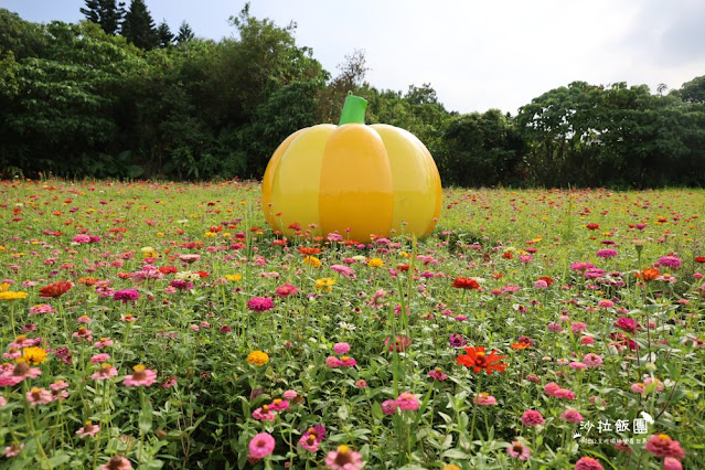 免費入場【2021愛戀關渡花現幸福】5公頃大片花海,北投景點 4 免費入場【2021愛戀關渡花現幸福】5公頃大片花海,北投景點