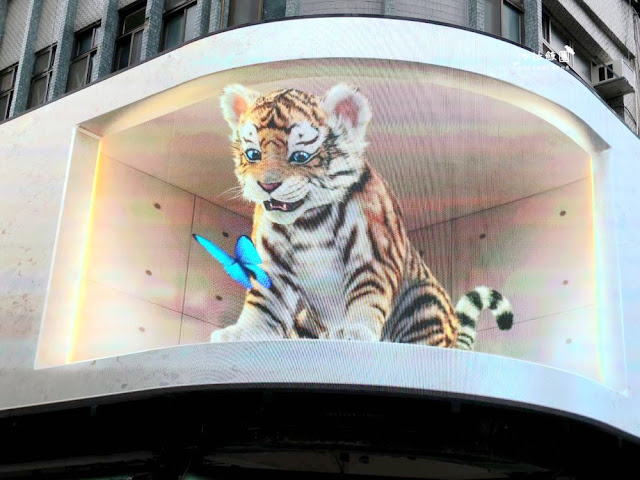 3D萌虎出閘,國慶日當晚台北8個據點,北、中、南通通可以看到 7 3D萌虎出閘,國慶日當晚台北8個據點,北、中、南通通可以看到