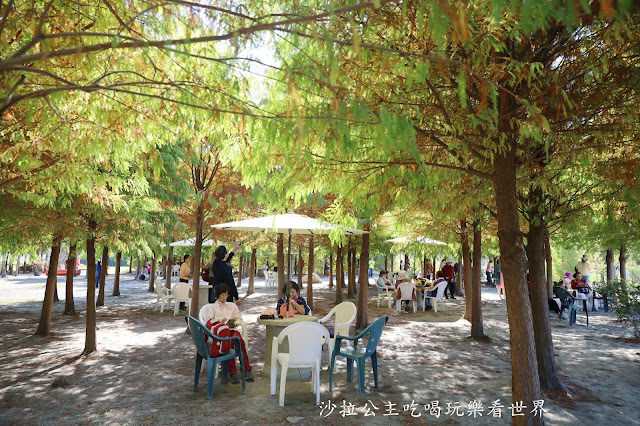 台中落羽松.后里泰安落羽松秘境『羽粼落羽松』裝置藝術像走到畫裡 28 台中落羽松.后里泰安落羽松秘境『羽粼落羽松』裝置藝術像走到畫裡