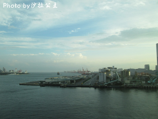 IMG_3845.jpg IMG_3845.jpg