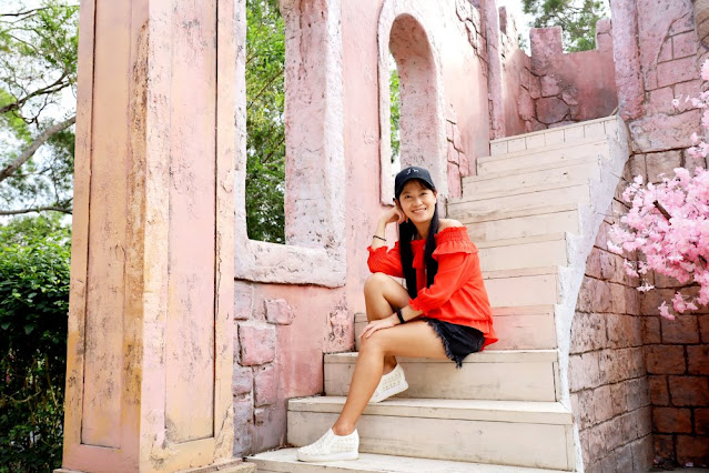 苗栗苑裡景點『綠意山莊』150元拍到翻、哈比村、粉紅城堡、露營、小木屋 54 苗栗苑裡景點『綠意山莊』150元拍到翻、哈比村、粉紅城堡、露營、小木屋