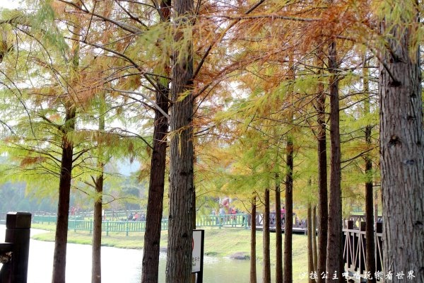 IMG_2768.JPG IMG_2768.JPG