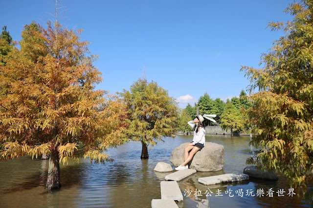 台中落羽松.后里泰安落羽松秘境『羽粼落羽松』裝置藝術像走到畫裡 25 台中落羽松.后里泰安落羽松秘境『羽粼落羽松』裝置藝術像走到畫裡