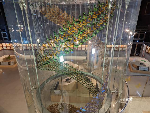 嘉義親子景點『新嘉大昆蟲館』全球唯一旋轉彩蝶柱、蝴蝶溫室花園 57 嘉義親子景點『新嘉大昆蟲館』全球唯一旋轉彩蝶柱、蝴蝶溫室花園