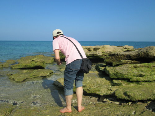 澎湖之旅-吉貝島 17 澎湖之旅-吉貝島