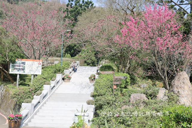 台北景點『陽明公園』陽明山花季/北投景點/櫻花季