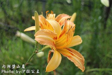 IMG_9501.jpg IMG_9501.jpg