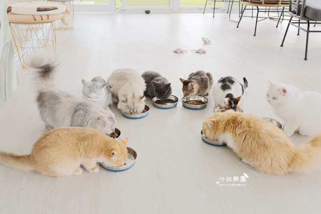 暑假照樣玩翻天、不加價！宜蘭最美親子飯店「綠舞」春夏旅展限時開搶，最低 37 折！早鳥訂房再加碼