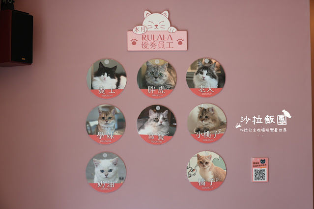 台北擼貓咖啡甜點『擼LALA Sweets松菸店』療癒系超萌小貓 12 台北擼貓咖啡甜點『擼LALA Sweets松菸店』療癒系超萌小貓