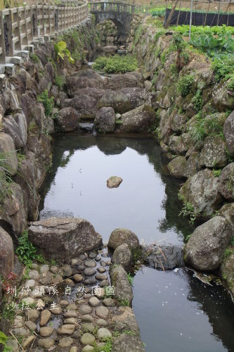 IMG_4079.JPG IMG_4079.JPG