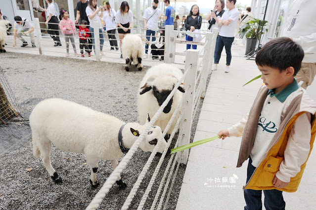 『黑RURU CAFE』最新熊貓羊、笑笑羊互動宜蘭咖啡、宜蘭景點 38 『黑RURU CAFE』最新熊貓羊、笑笑羊互動宜蘭咖啡、宜蘭景點