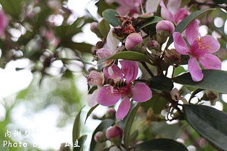 IMG_9551.jpg IMG_9551.jpg