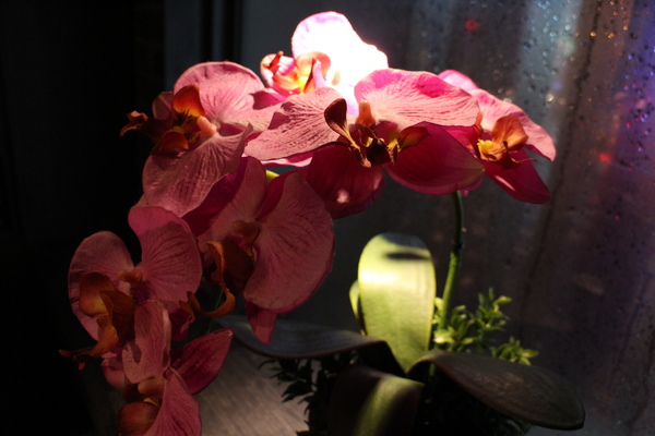 這一鍋皇室祕藏鍋物(吉林殿):這一鍋皇室祕藏鍋物(吉林殿)越熱越要開鍋 這一鍋皇室祕藏鍋物(吉林殿):這一鍋皇室祕藏鍋物(吉林殿)越熱越要開鍋