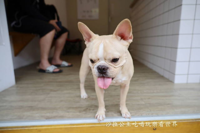 新竹城隍廟美食.小吃.飲料『法豆綠豆沙牛奶』『吳廟口地瓜球』『古意奶茶』 4 新竹城隍廟美食.小吃.飲料『法豆綠豆沙牛奶』『吳廟口地瓜球』『古意奶茶』