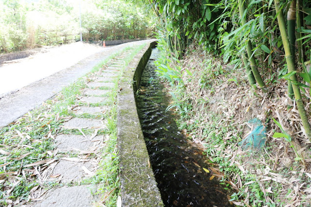 士林隱藏版親水步道『菁礐古圳』百年古圳 7 士林隱藏版親水步道『菁礐古圳』百年古圳
