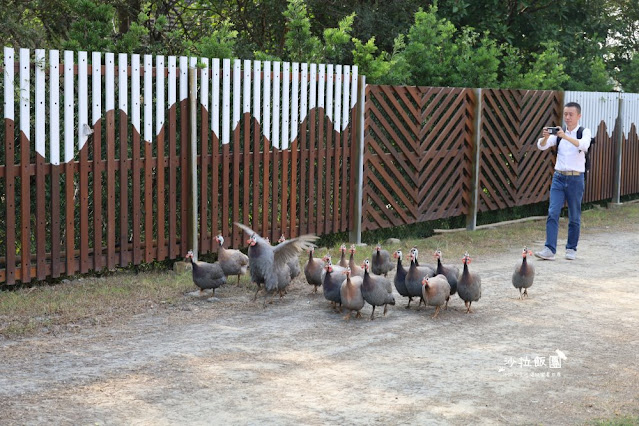 苗栗苑裡景點『綠意山莊』150元拍到翻、哈比村、粉紅城堡、露營、小木屋 23 苗栗苑裡景點『綠意山莊』150元拍到翻、哈比村、粉紅城堡、露營、小木屋