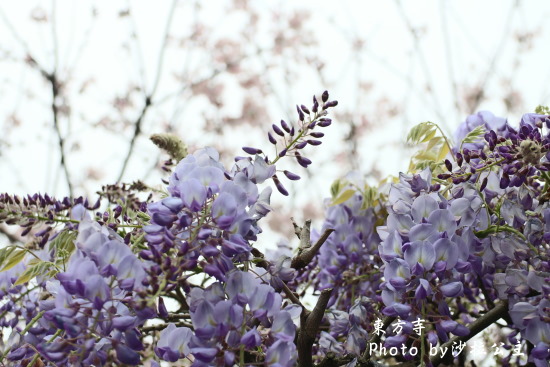 IMG_7056.jpg IMG_7056.jpg